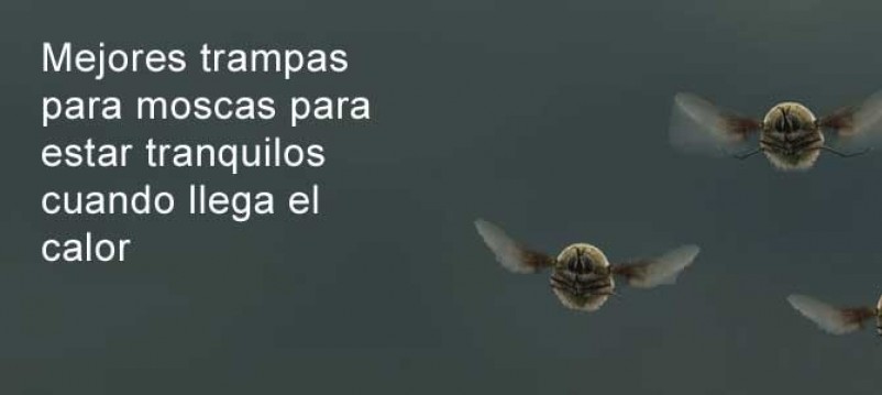 Mejores trampas para moscas para estar tranquilos cuando llega el calor