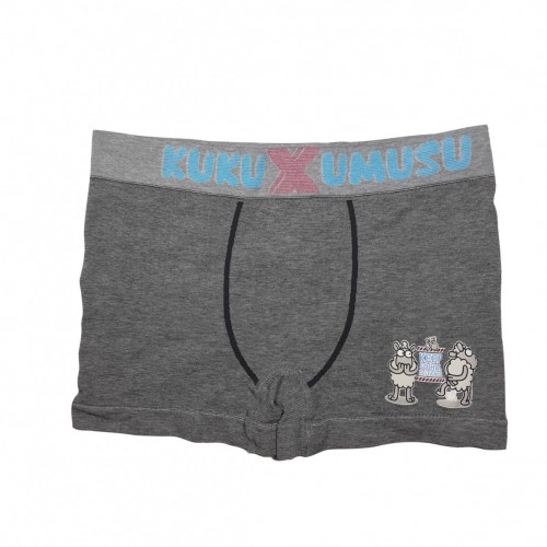 Boxer gris