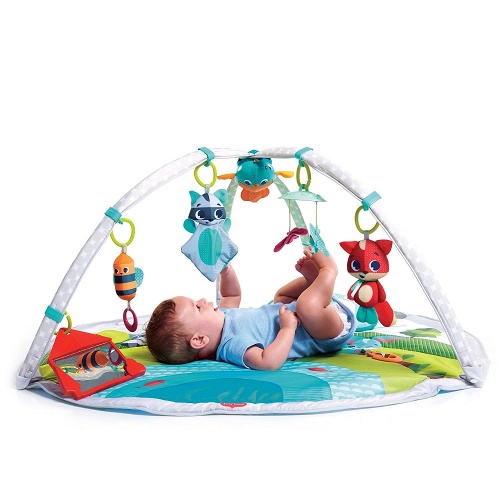 Gimnasio musical Meadow Days Dynamic Tiny Love 5