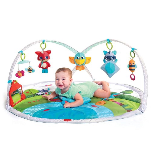 Gimnasio musical Meadow Days Dynamic Tiny Love