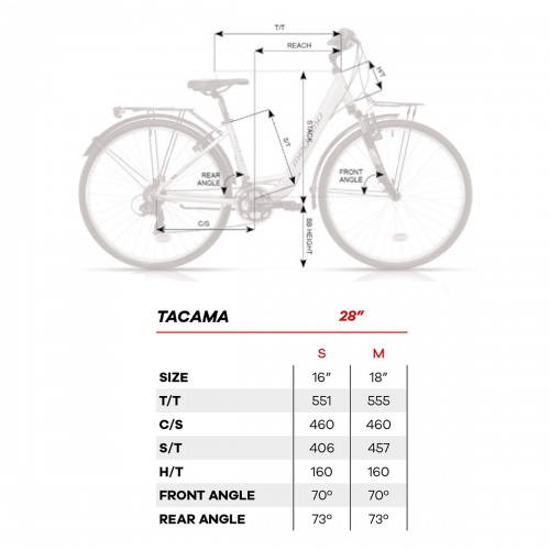 Tallas bicicleta trekking