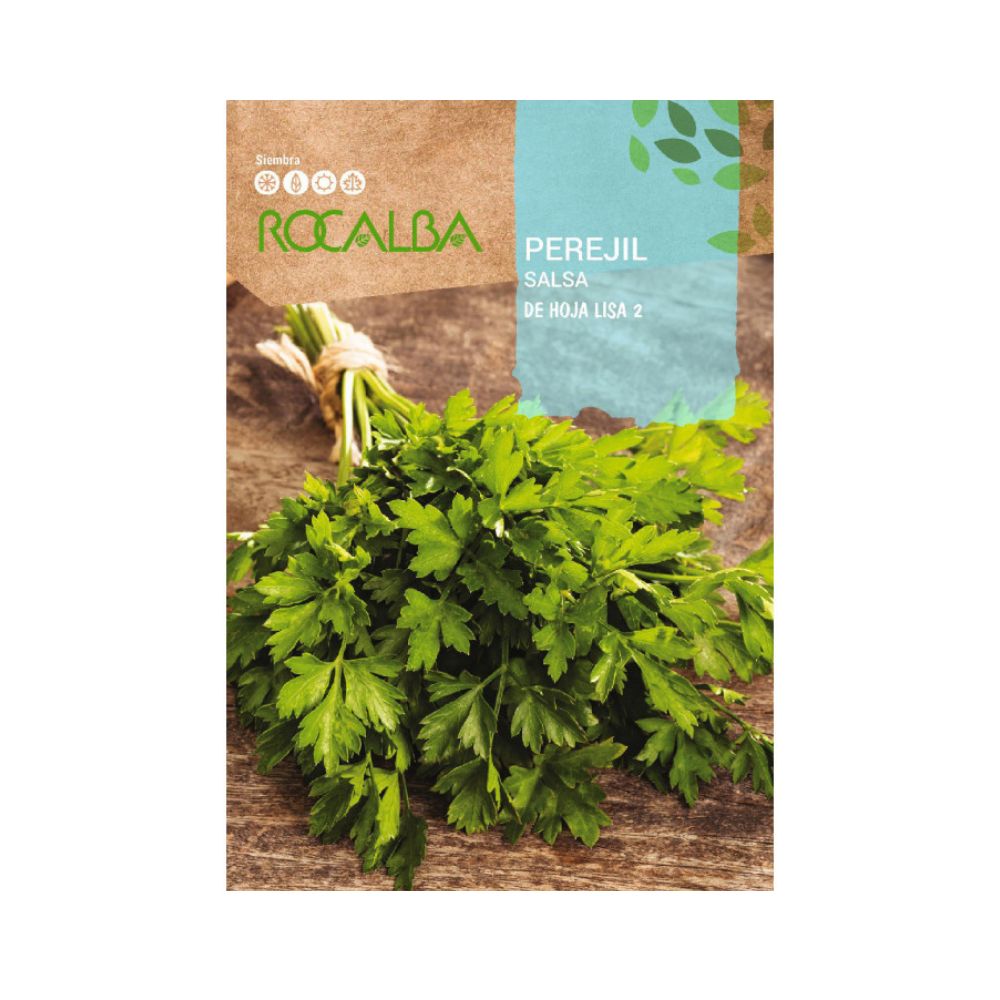 Semilla perejil de hoja lisa