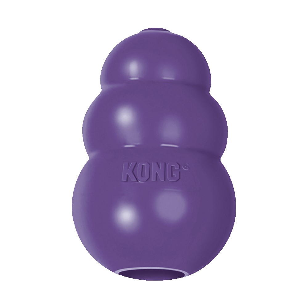 KONG SENIOR M