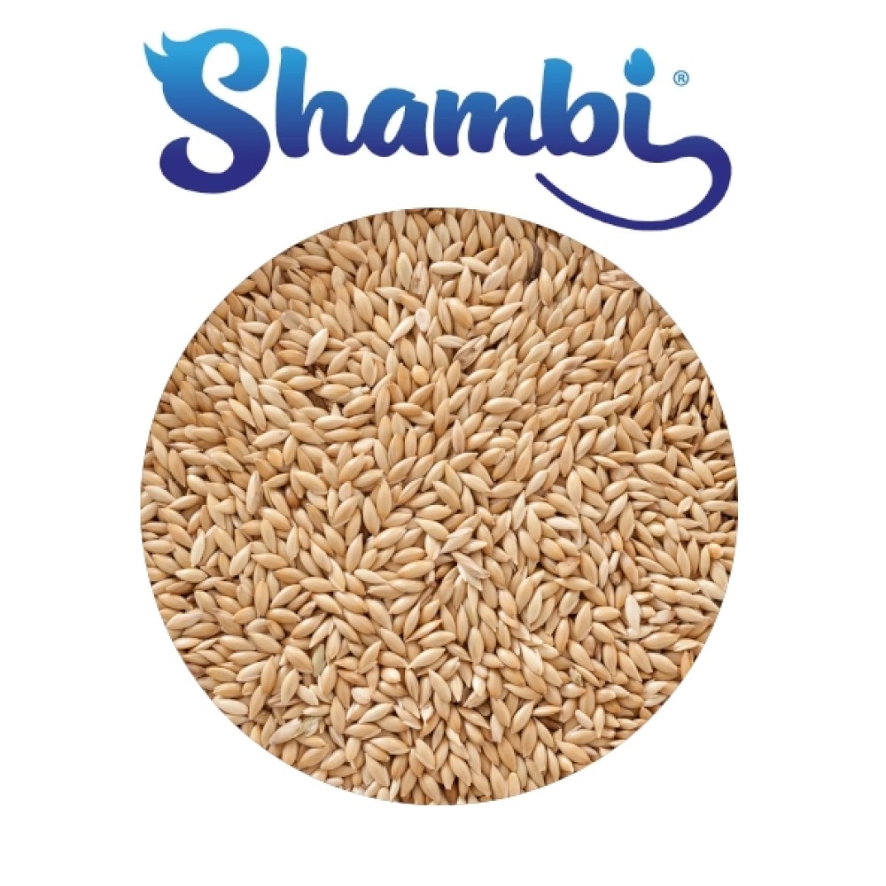 SHAMBI ALPISTE 5KG