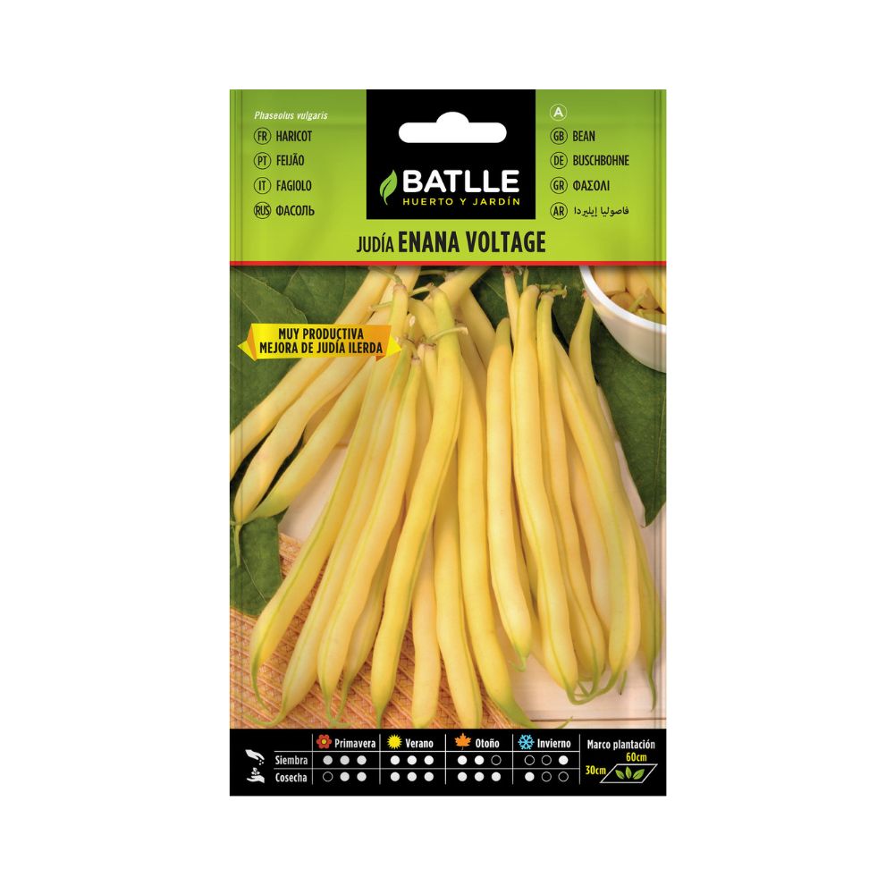 SEMILLAS JUDIA ENANA VOLTAGE 100G