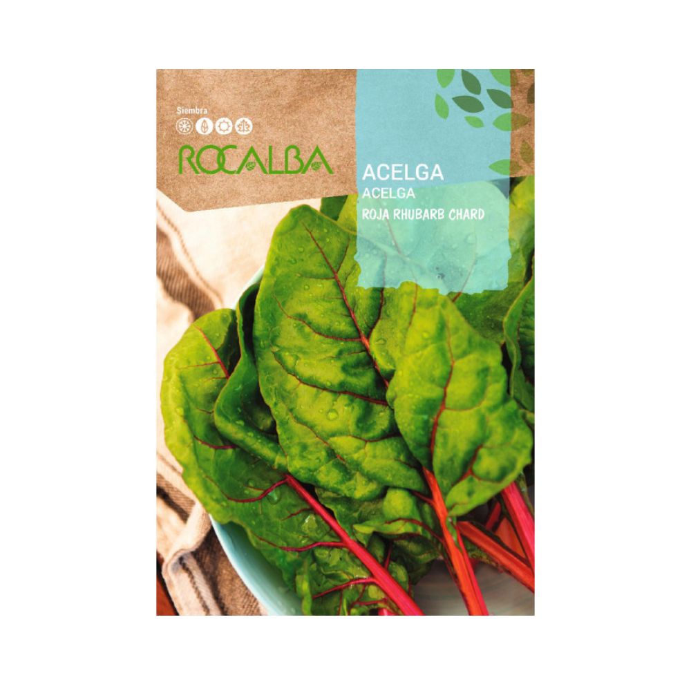 Semillas acelga Roja Rhubarb Chard