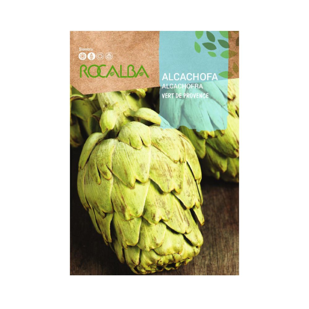 Semillas alcachofa vert de provence