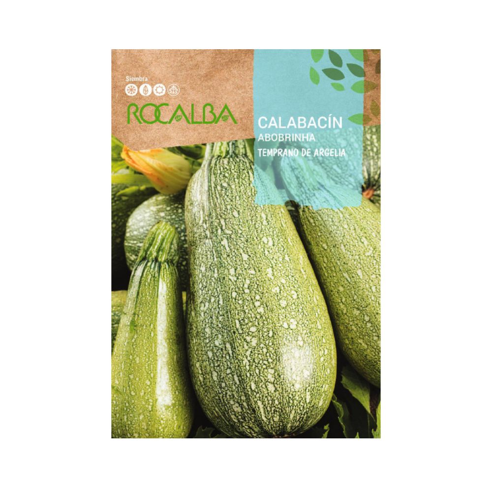 Semillas de calabacin temprano de argelia