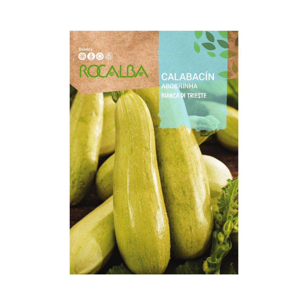 Semillas Calabacin bianca di trieste