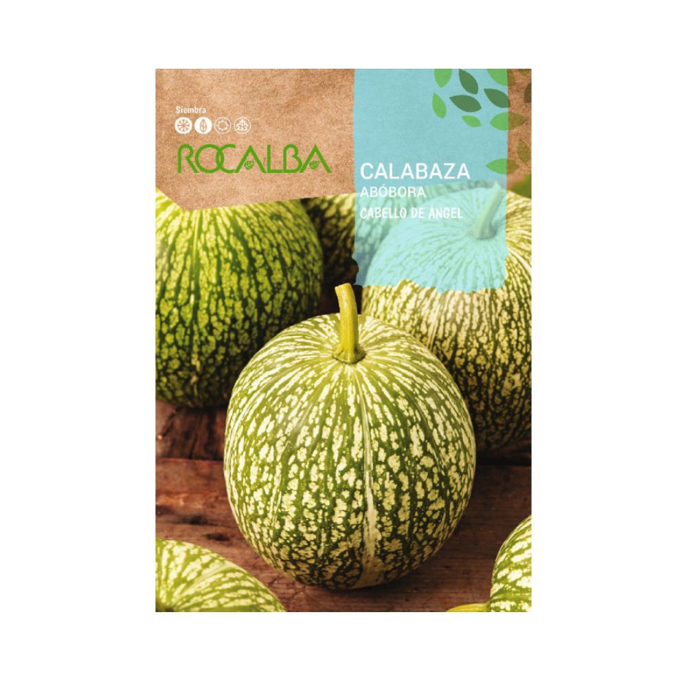 Semillas de calabaza cabello de ángel