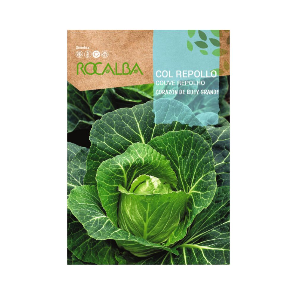 Semillas Col Repollo corazón de buey grande