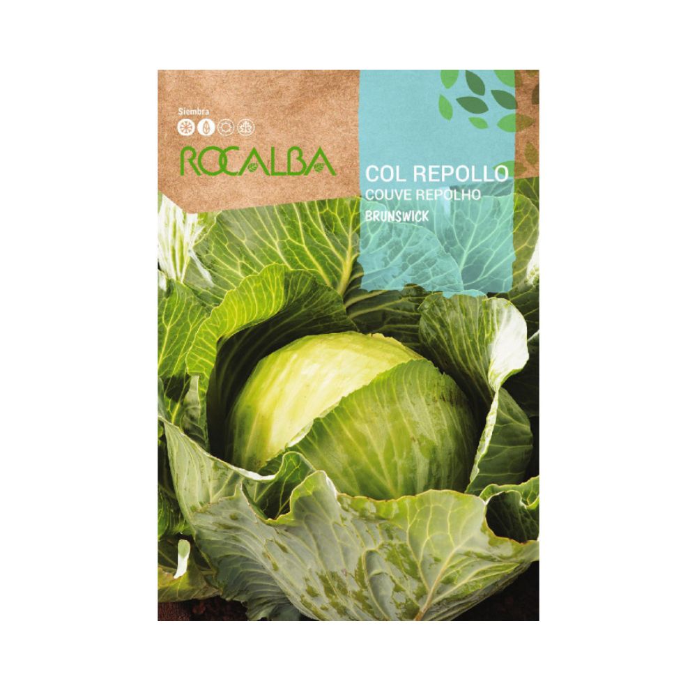 Semillas Col repollo brunswick