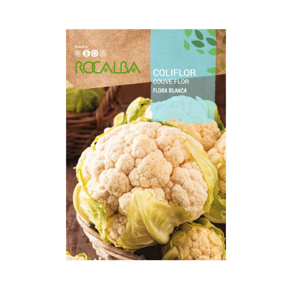 Semillas coliflor flora blanca