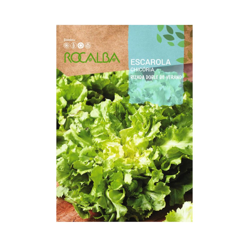 Semillas de escarola rizada doble de verano
