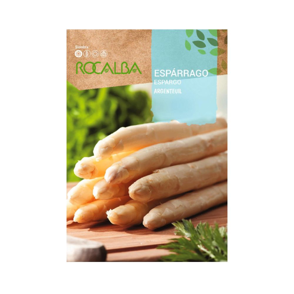 Semillas espárrago argenteuil