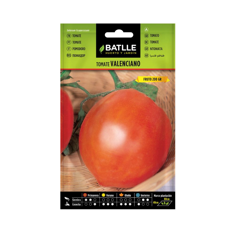 Semillas tomate valenciano