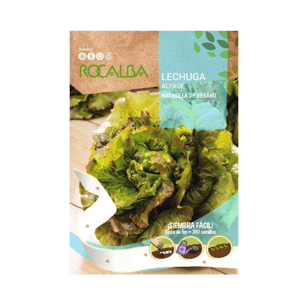Semillas Lechuga maravilla de verano en cinta