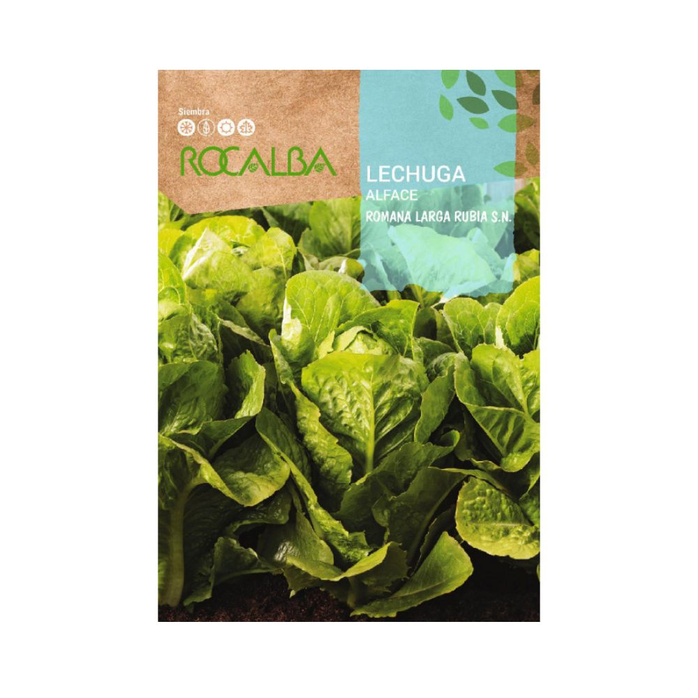Semillas lechuga romana larga rubia