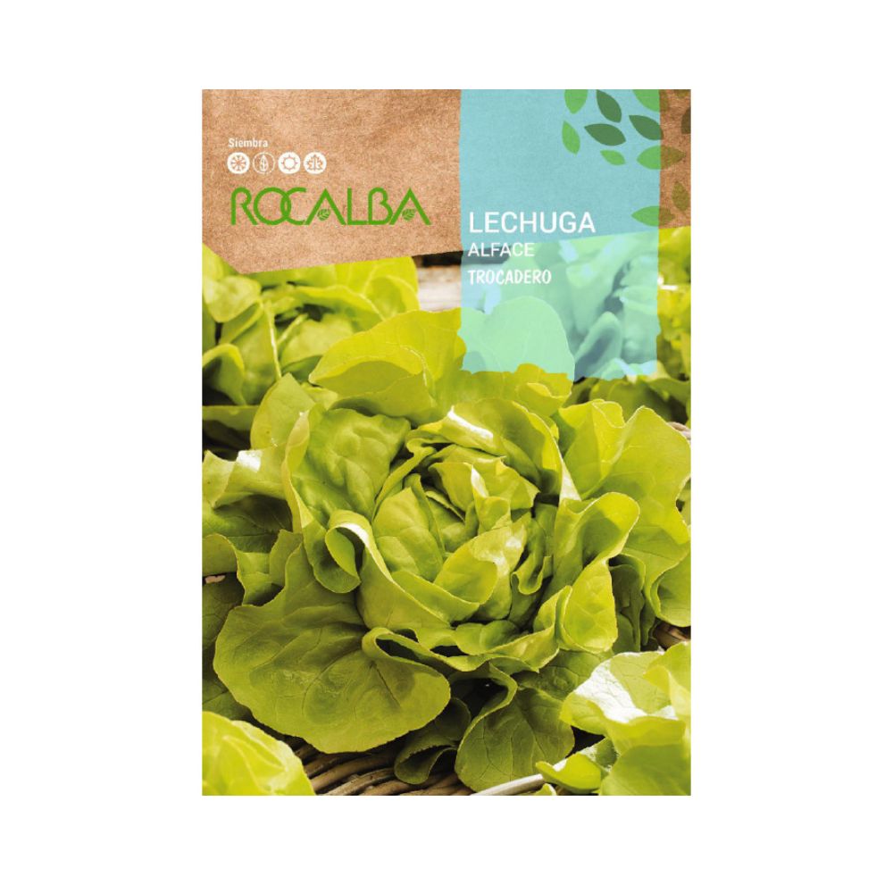 Semillas lechuga trocadero
