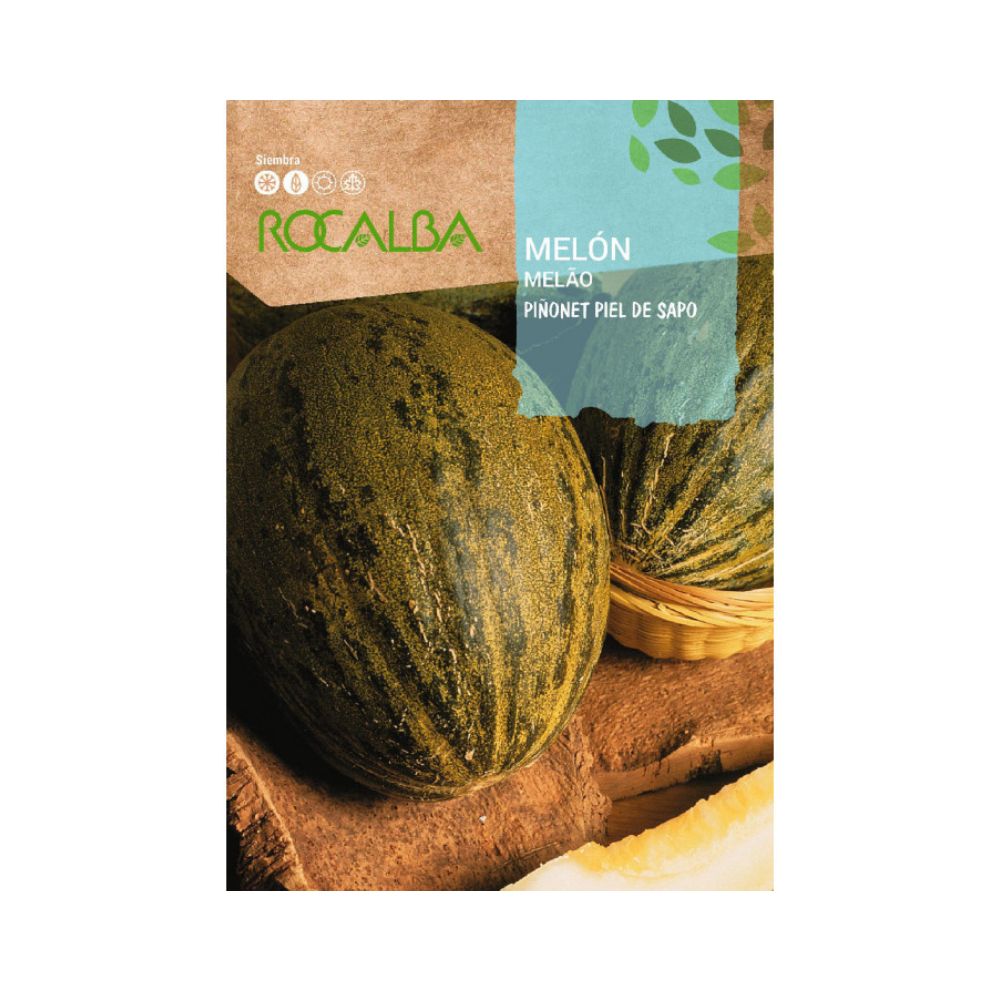 Semillas melón piñonet piel de sapo