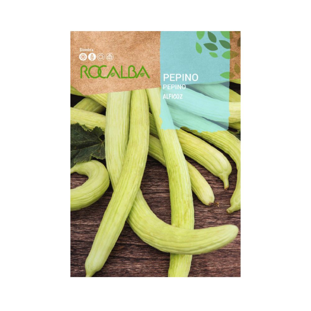 Semilla de pepino alficoz