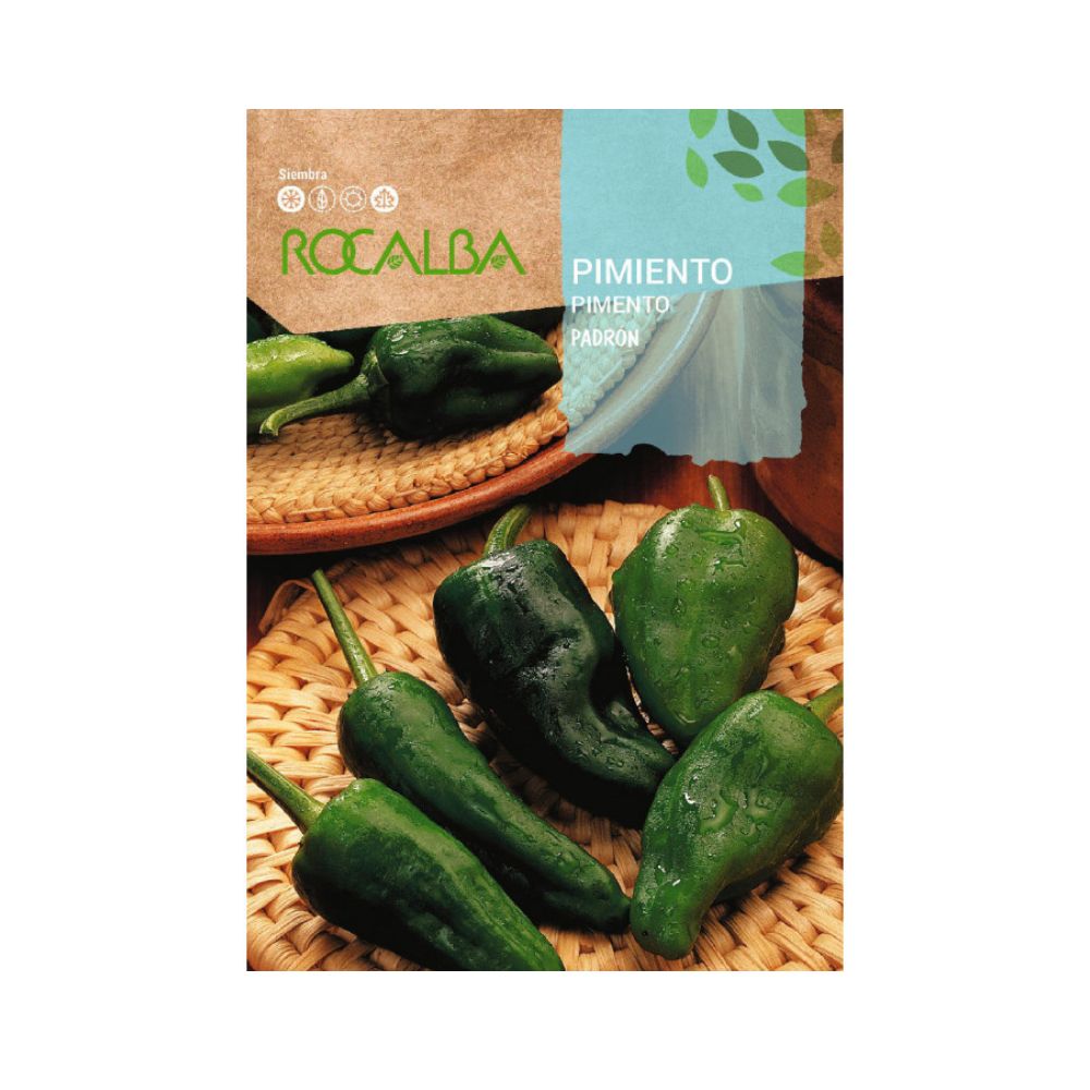 Pimiento padron semillas