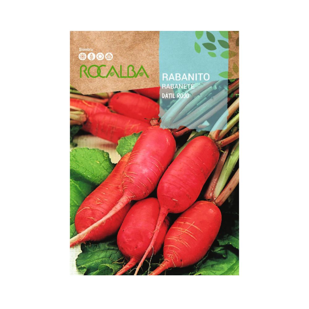 Rabanito dátil rojo semillas
