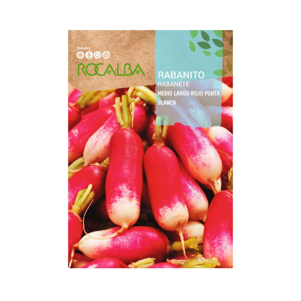 Rabanito medio largo rojo semillas