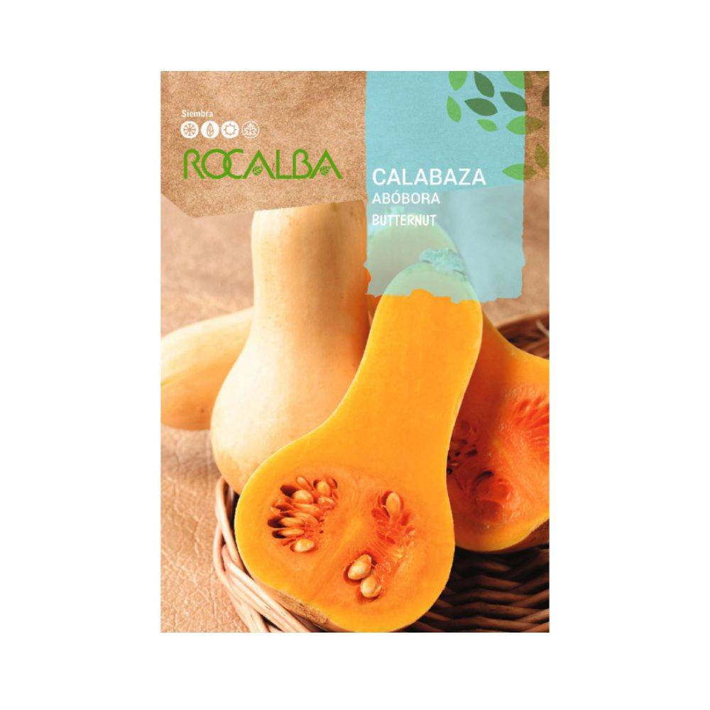 Calabaza Butternut semillas