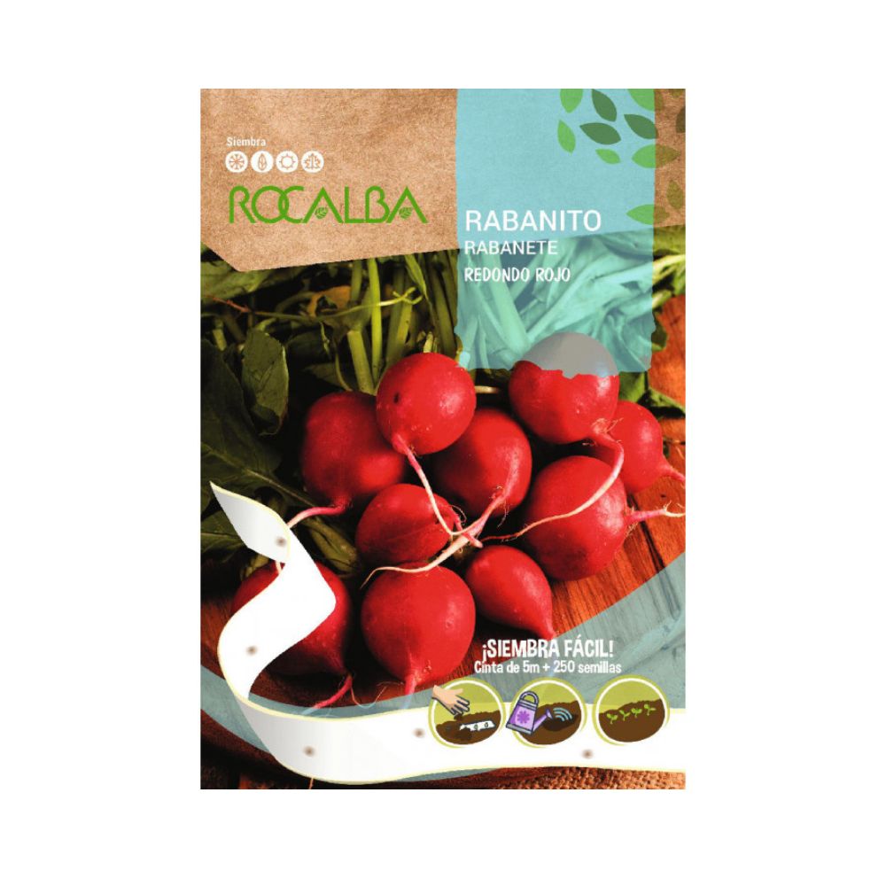 Rabanito redondo rojo cinta