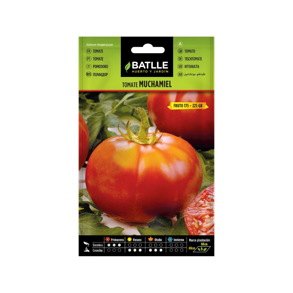 Tomate muchamiel semillas