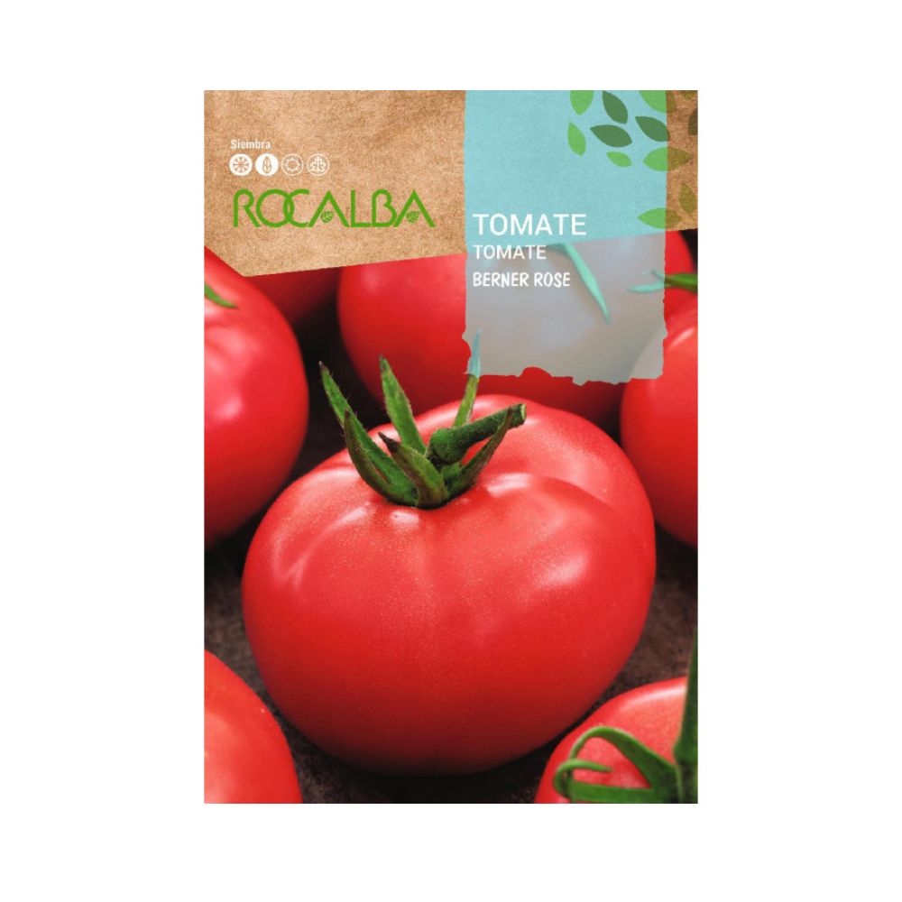 Tomate rosa de berner