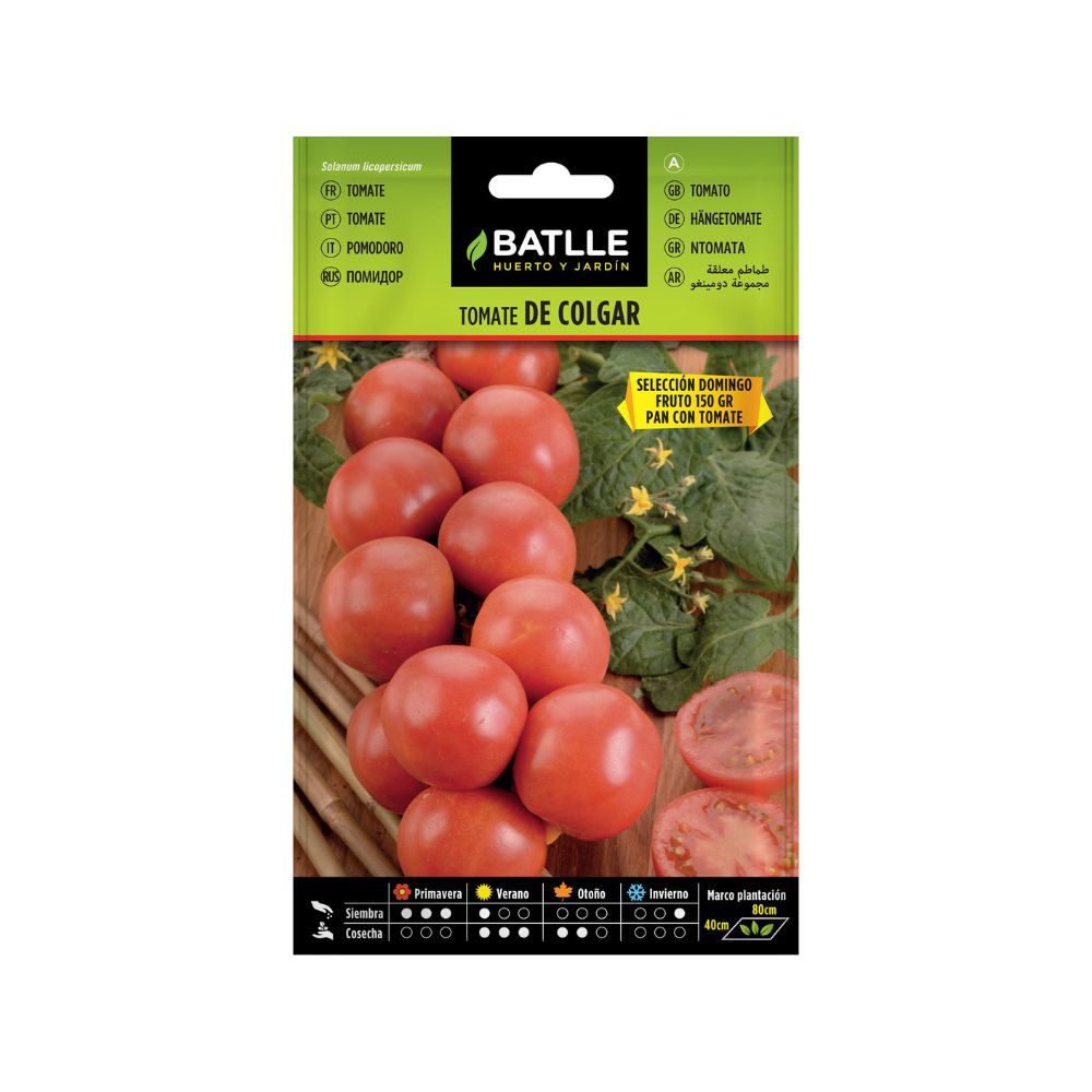 Tomate de colgar Semillas