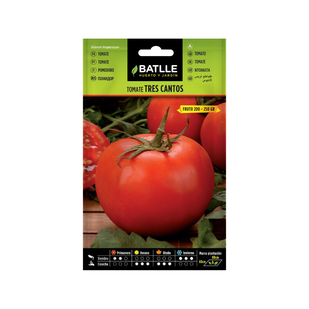 Tomate tres cantos semillas