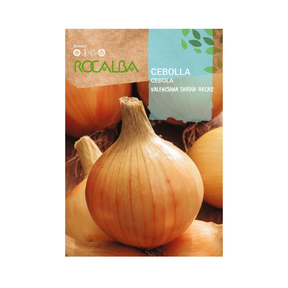 Cebolla valenciana tardía semillas
