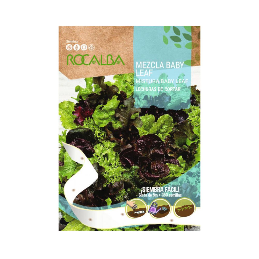 Lechuga mezcla baby leaf semillas en cinta