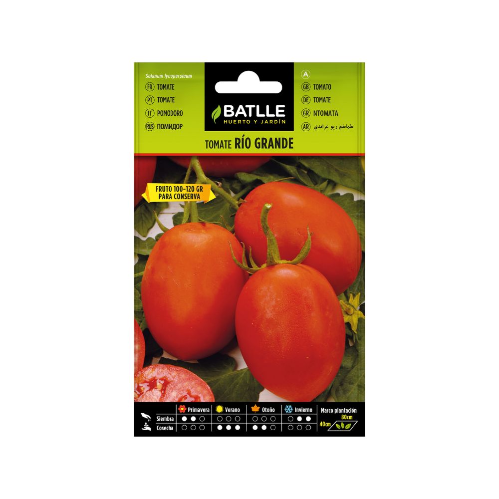 Tomate río grande semillas