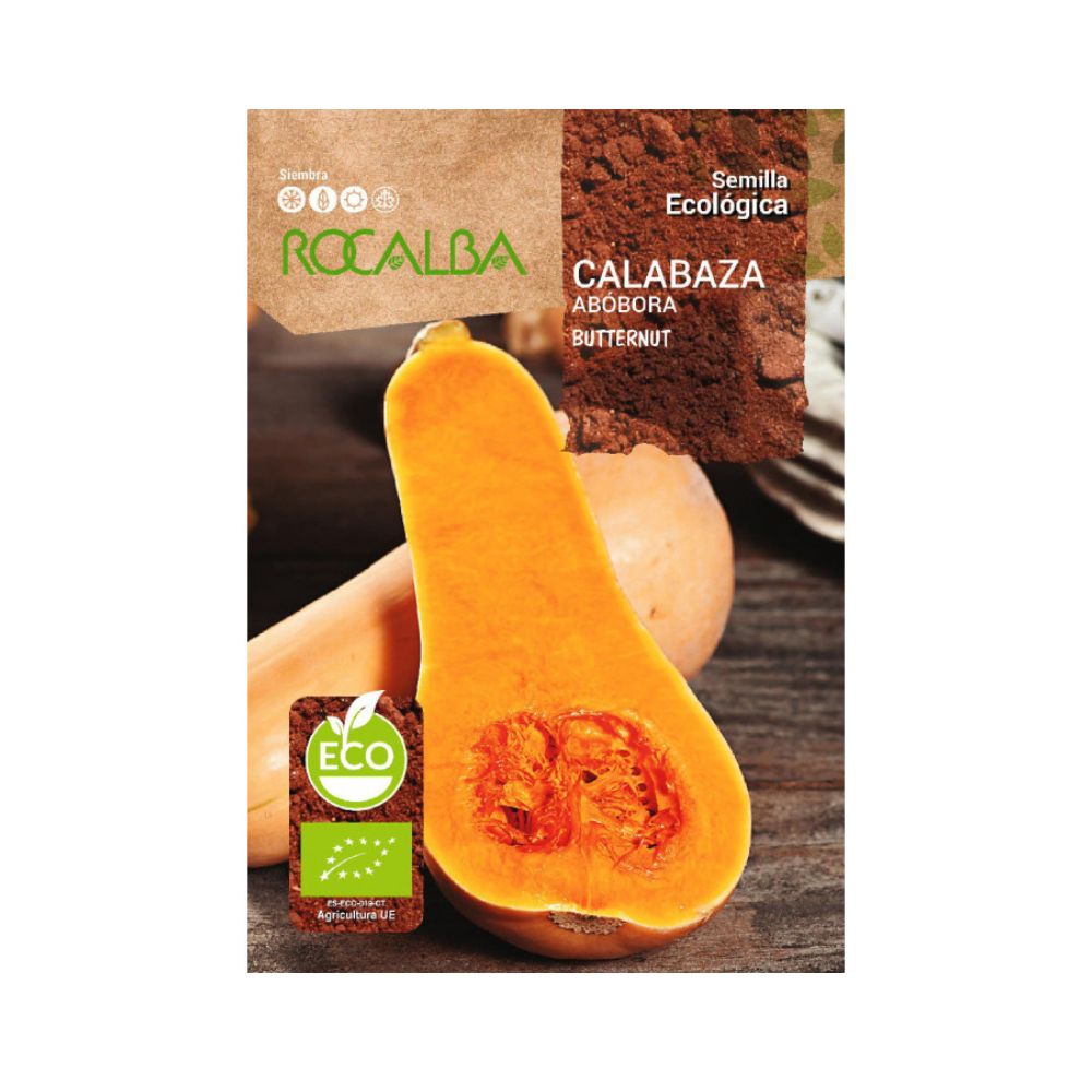 Semillas de Calabaza Butternut Ecológica