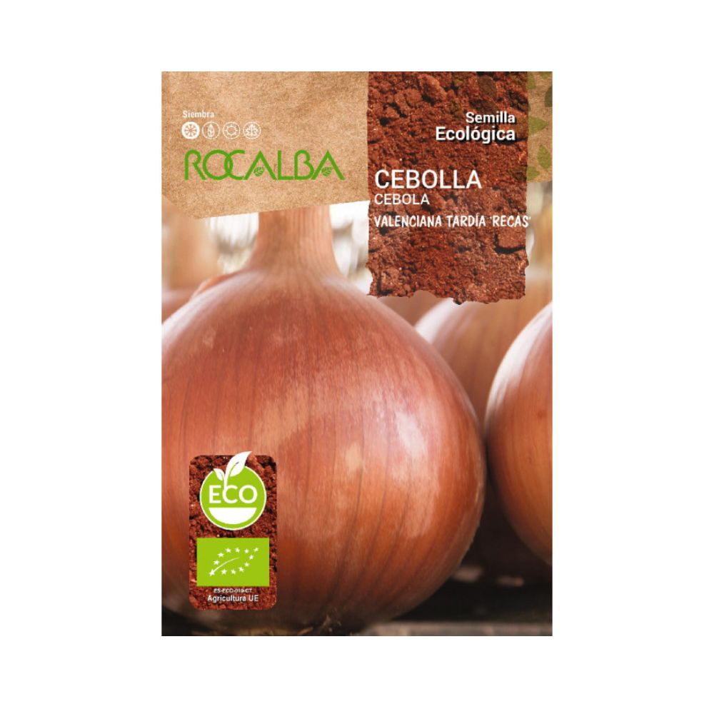 Semillas de Cebolla Tardía Valenciana Ecológicas