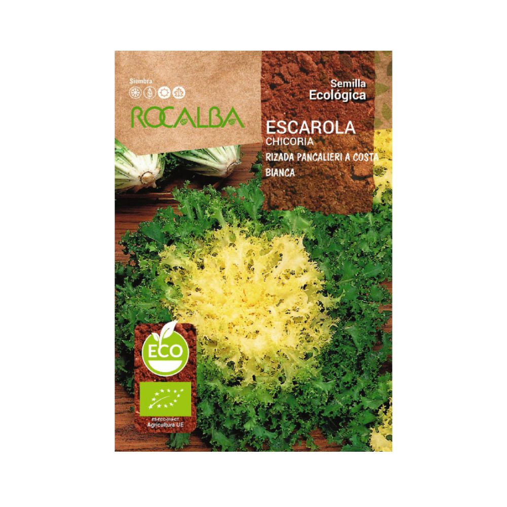 Semillas de Escarola Rizada Pancalieri Ecológicas