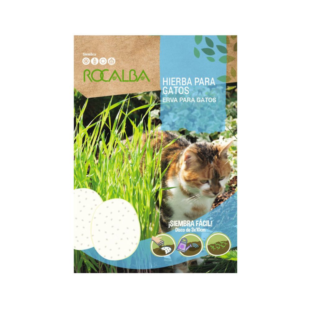 Hiberba para gatos en disco