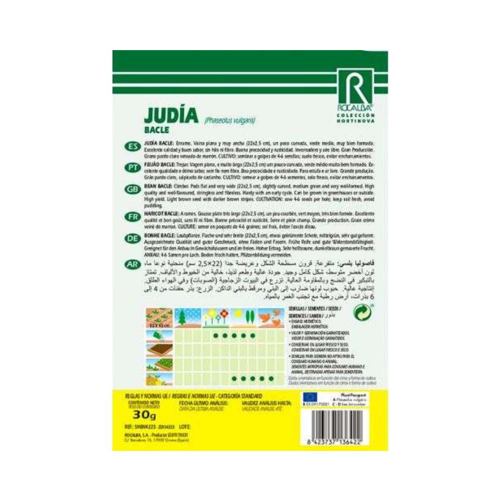 Judia Bacle semilla