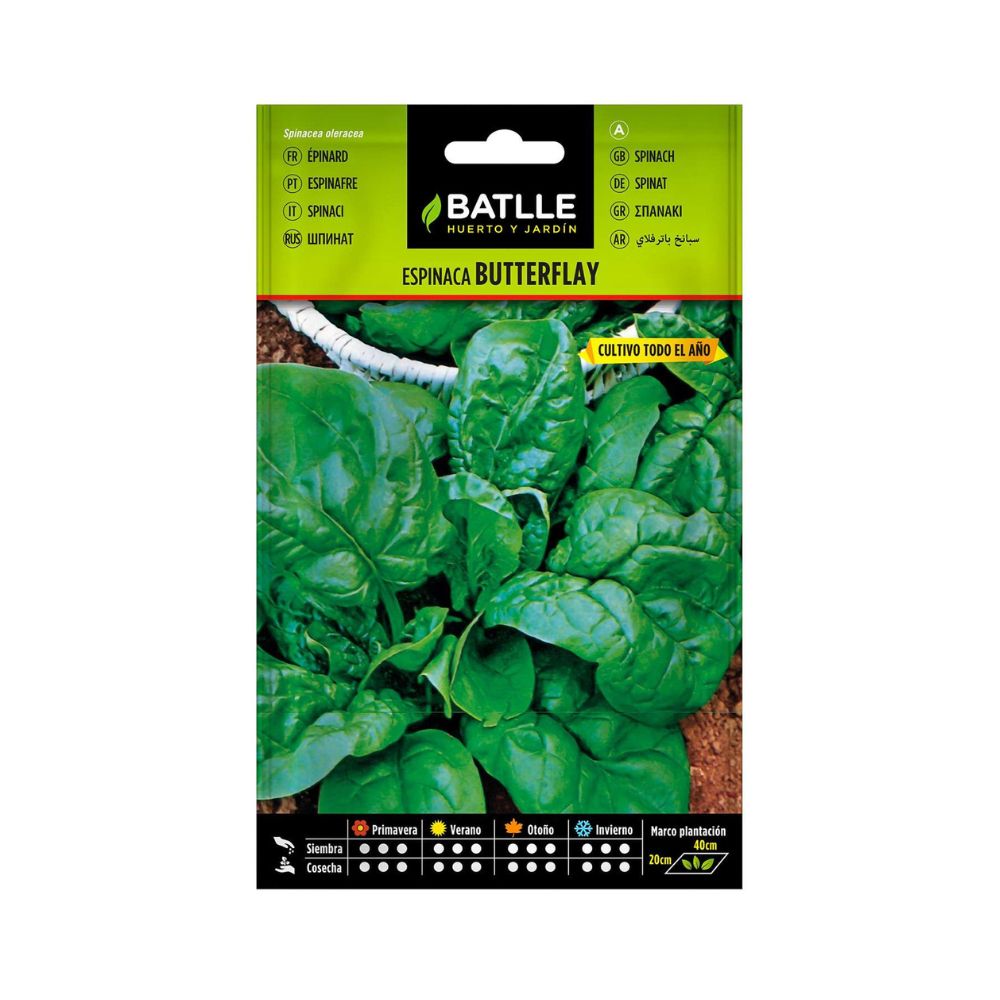 SEMILLAS ESPINACA BUTTERFLAY 100G