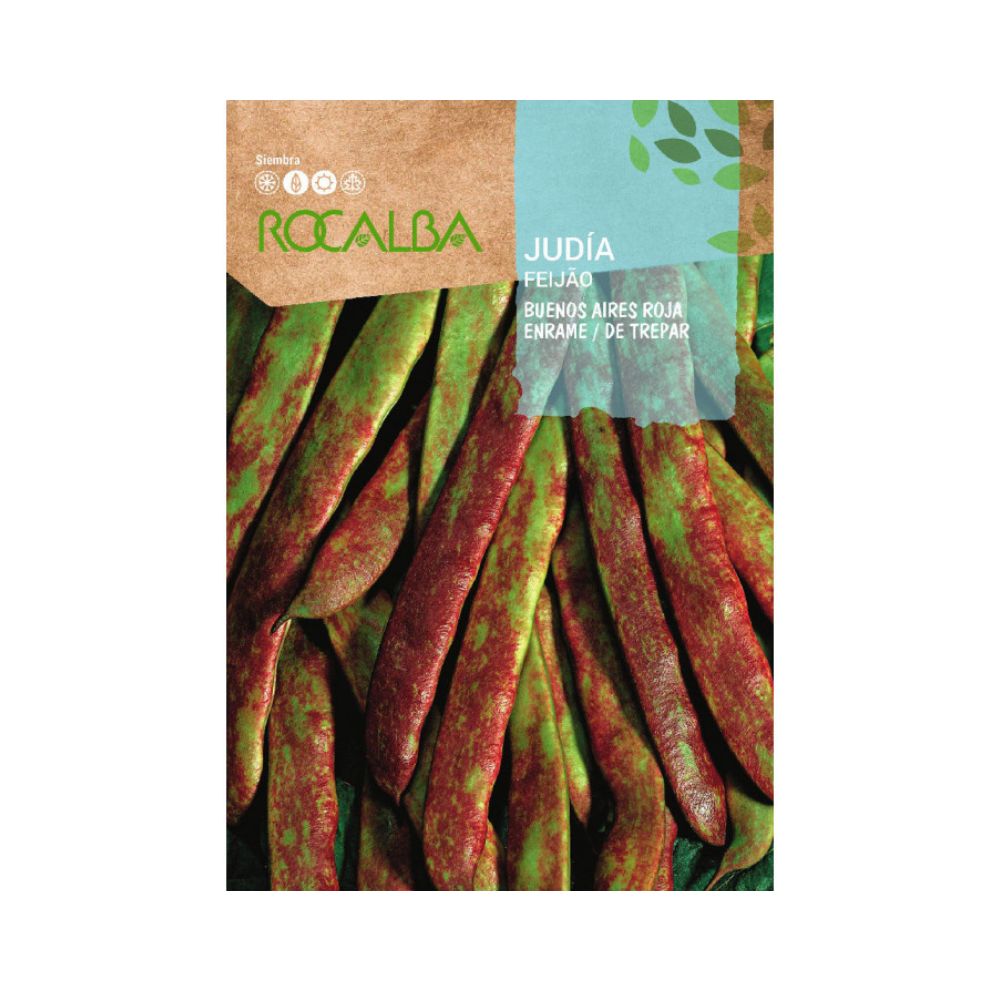 Judía buenos aires roja