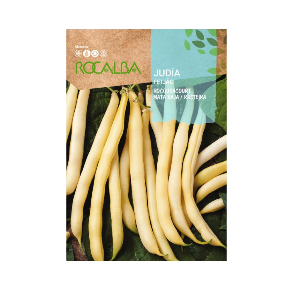 Semillas Judía Rocquencourt 250g