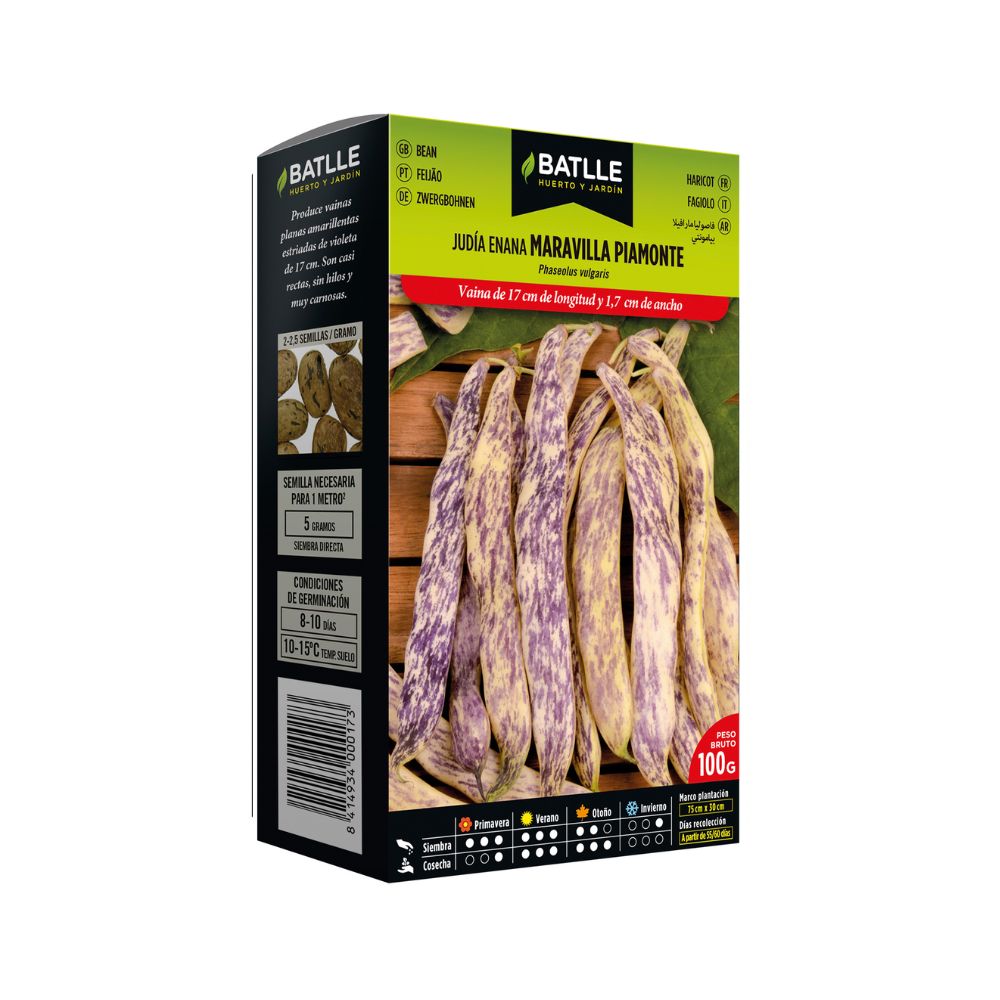 Semillas judía maravilla piamonte