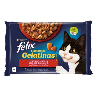 FELIX SENSATION FESTIN SABORES