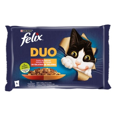 FELIX DUO FESTIN SABORES