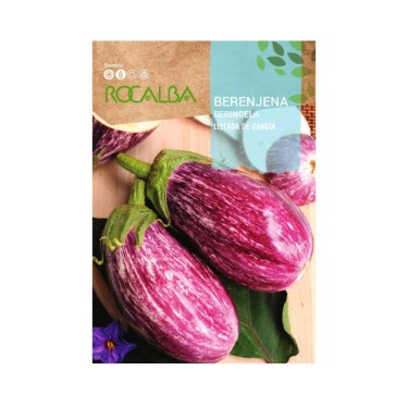 Semillas berenjena listada de gandia