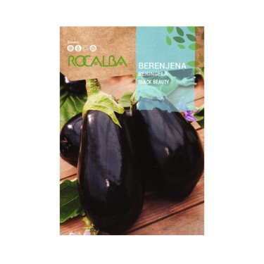 Semillas de berenjena black beauty